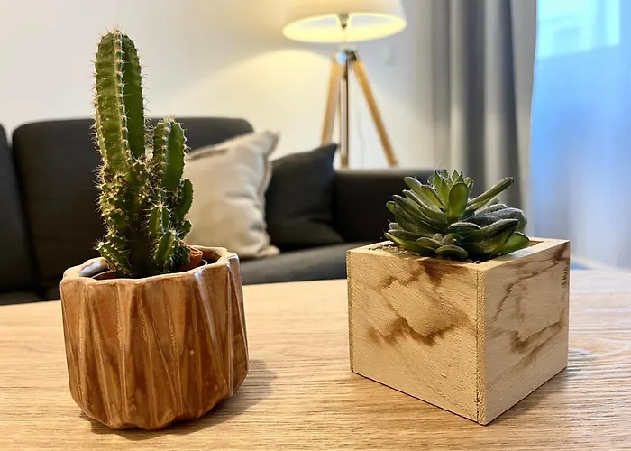 Centre Historique Rdc - Wifi 公寓 勒韦